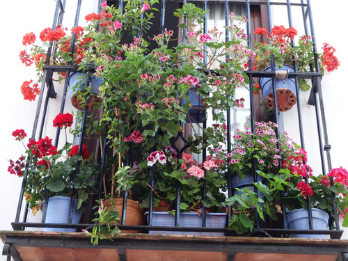 Flowers. Flowers.